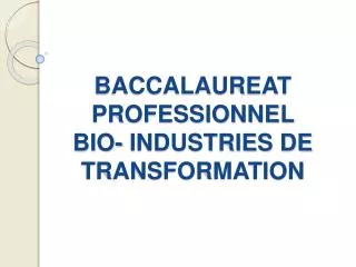 baccalaureat professionnel bio industries de transformation