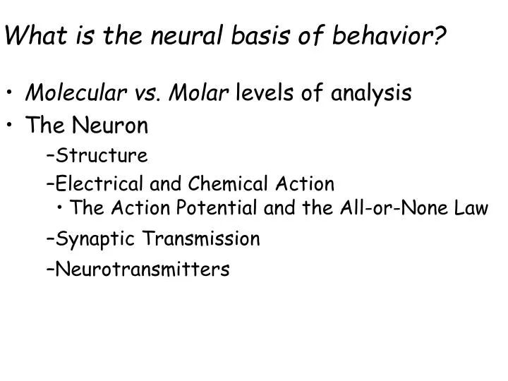 what is the neural basis of behavior
