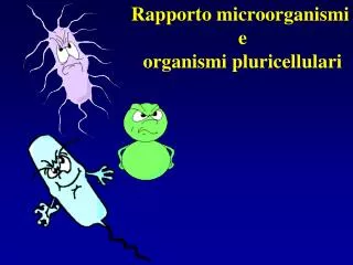 Rapporto microorganismi e organismi pluricellulari