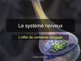 Le système nerveux