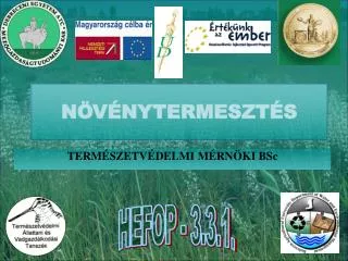 n v nytermeszt s