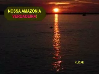 NOSSA AMAZÔNIA VERDADEIRA !