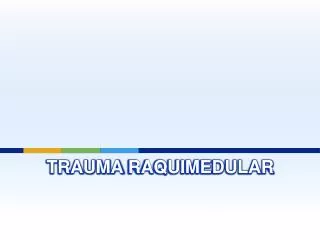 trauma raquimedular