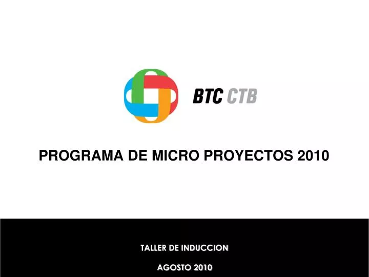 programa de micro proyectos 2010