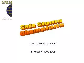 Curso de capacitación P. Reyes / mayo 2008