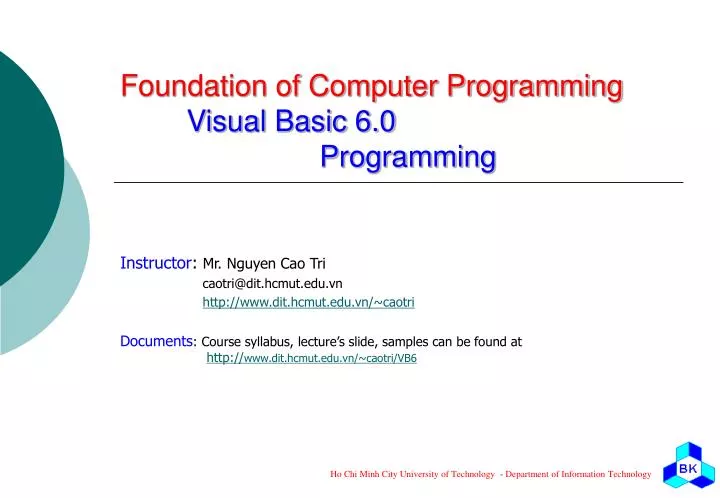 foundation of computer programming visual basic 6 0 programming