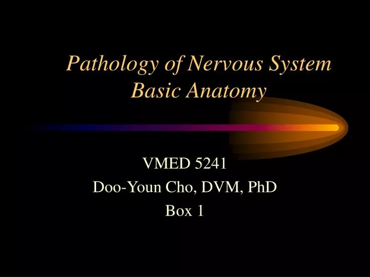 pathology of nervous system basic anatomy