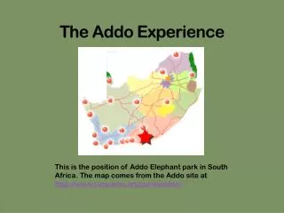 The Addo Experience