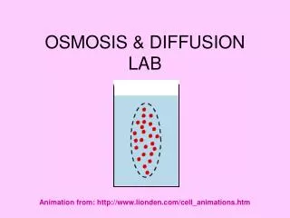 OSMOSIS &amp; DIFFUSION LAB