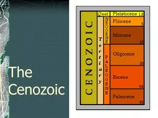 The Cenozoic