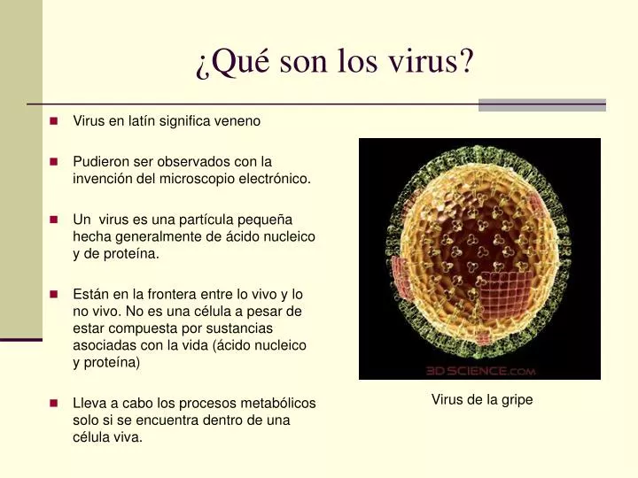 qu son los virus