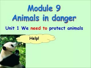 Module 9 Animals in danger
