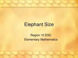 Elephant Size