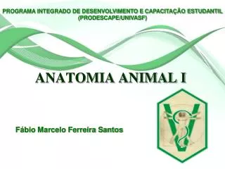 anatomia animal i