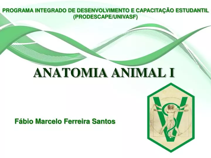 anatomia animal i
