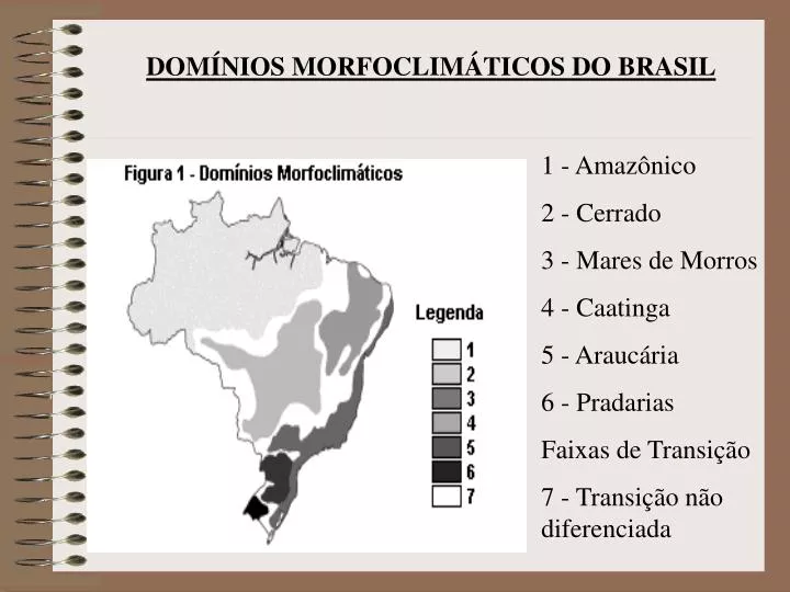 Domínios morfoclimáticos do Brasil: quais são? - Brasil Escola