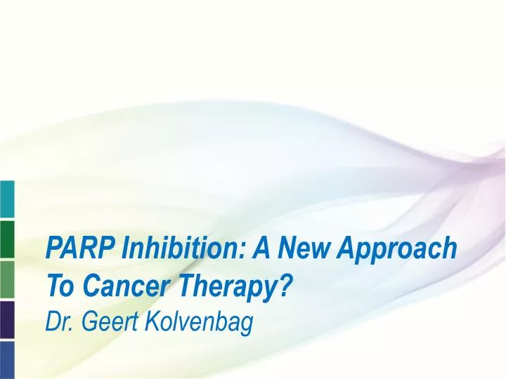 parp inhibition a new approach to cancer therapy dr geert kolvenbag