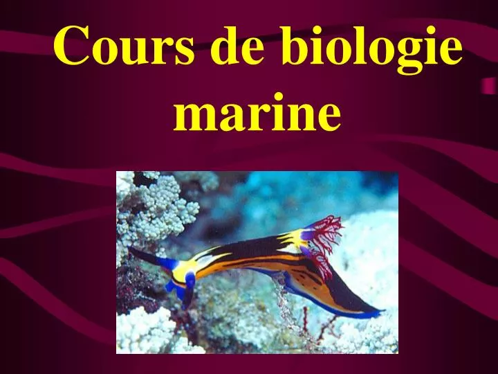 cours de biologie marine