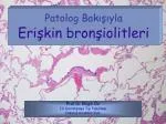 Patolog Bakışıyla Erişkin bron şiolitleri - slide 1