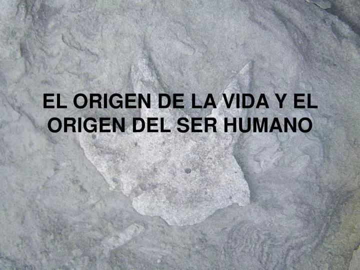 el origen de la vida y el origen del ser humano