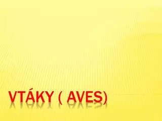 vt ky aves