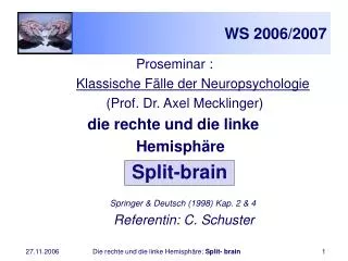 ws 2006 2007