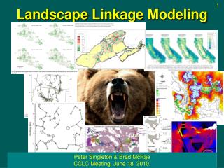 Landscape Linkage Modeling