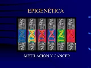 epigen tica