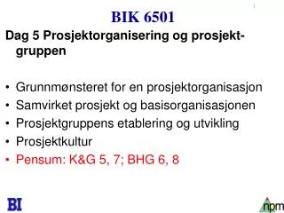 bik 6501