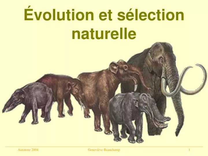 volution et s lection naturelle