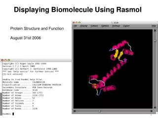 Displaying Biomolecule Using Rasmol