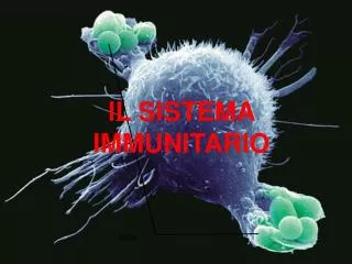 il sistema immunitario