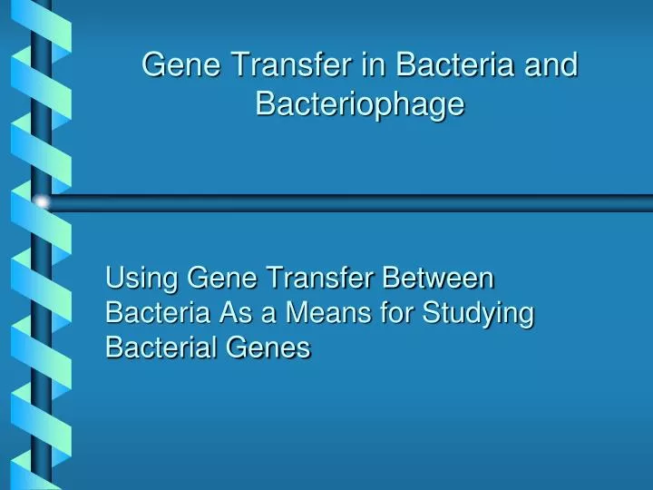 gene transfer in bacteria and bacteriophage