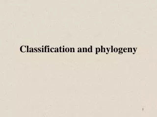 Classification and phylogeny