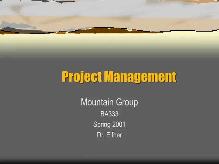 project management