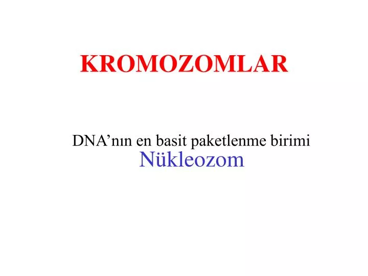 kromozomlar
