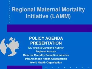 Regional Maternal Mortality Initiative (LAMM)
