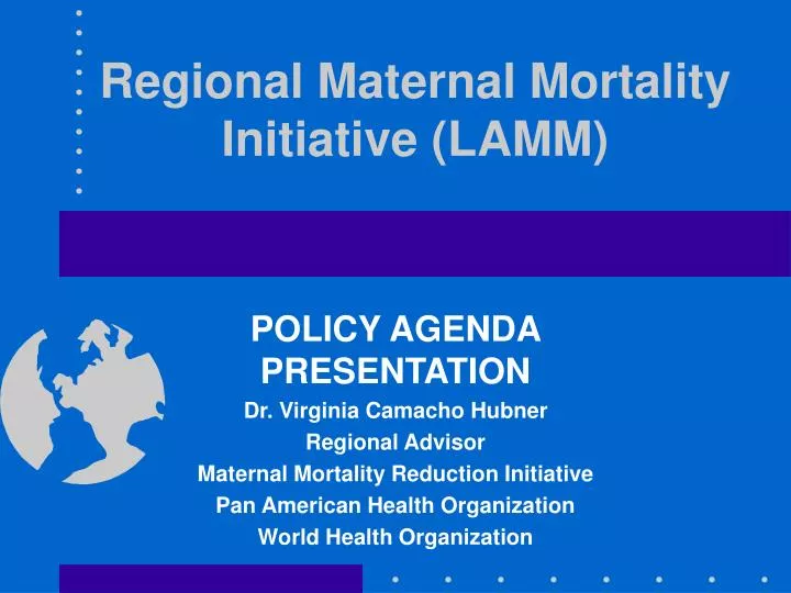 regional maternal mortality initiative lamm