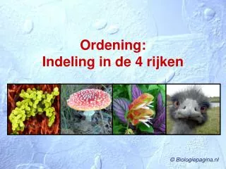 ordening indeling in de 4 rijken