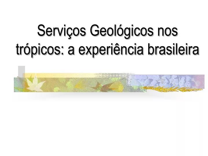 servi os geol gicos nos tr picos a experi ncia brasileira