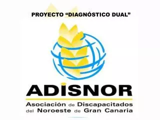 proyecto diagn stico dual