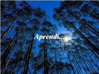 aprendi