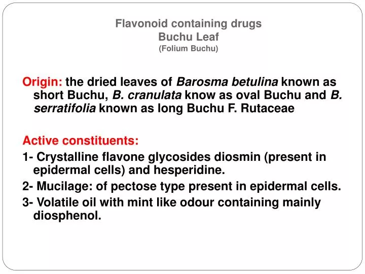 flavonoid containing drugs buchu leaf folium buchu