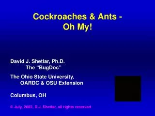 Cockroaches &amp; Ants - Oh My!