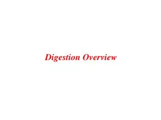 Digestion Overview