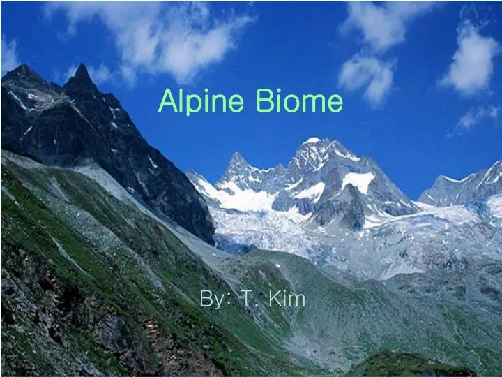 alpine biome
