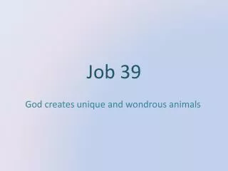 Job 39