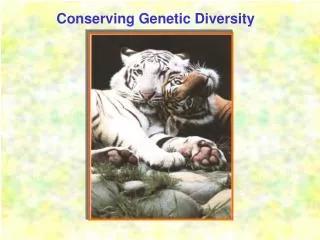 Conserving Genetic Diversity
