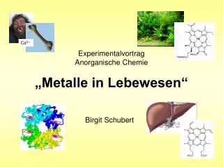 Experimentalvortrag Anorganische Chemie „Metalle in Lebewesen“