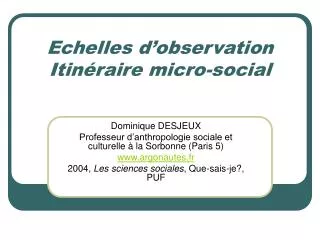 echelles d observation itin raire micro social